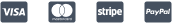 digital download store payment logo